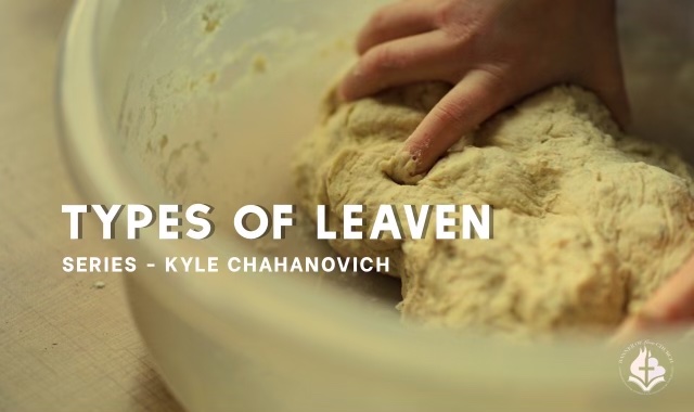 types-of-leaven-kyle-chahanovich-bolm-media